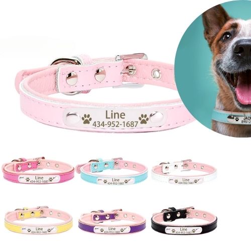 Collier Chic personnalisé pour chien