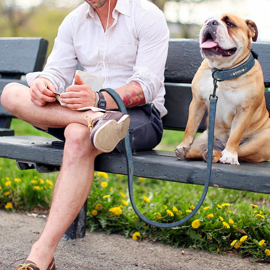 Ensemble Collier Chien Personnalisé avec Laisse en Cuir