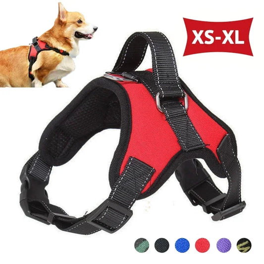 Harnais chien réglable XS-XL