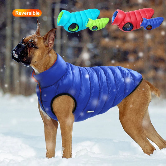 Gilet imperméable pour chien