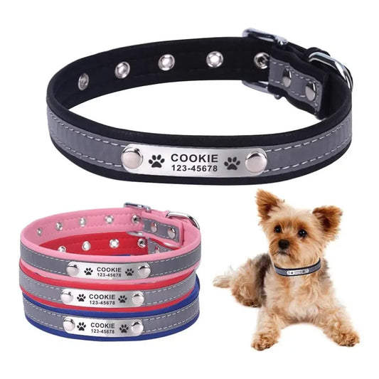 Collier chien personnalisé et réfléchissant