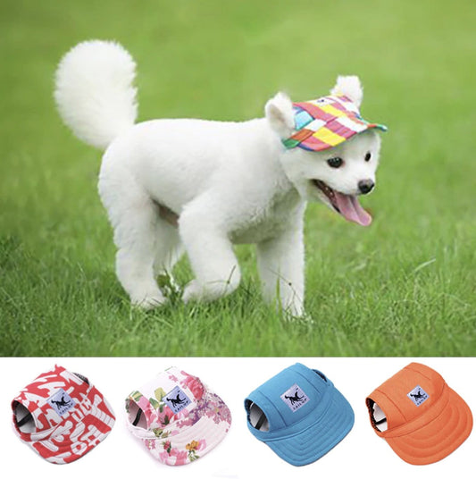 Casquette de Baseball Pour Chiens