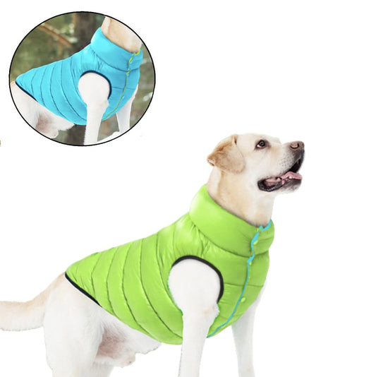 Gilet imperméable pour chien