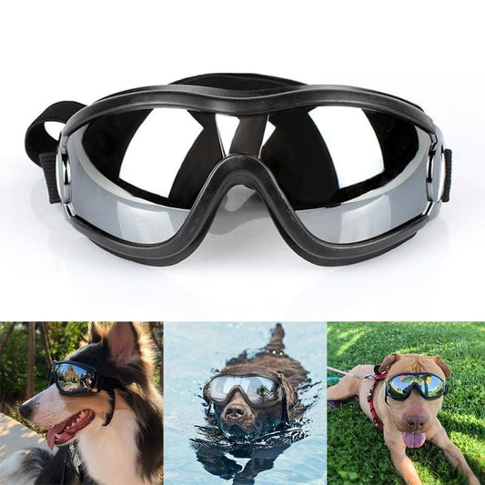 Lunettes de soleil pour chiens